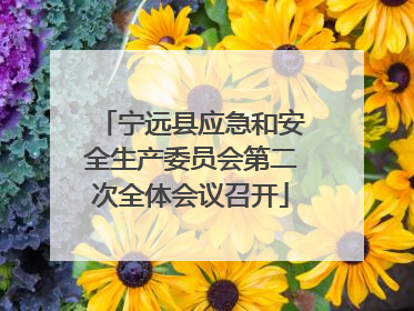 宁远县应急和安全生产委员会第二次全体会议召开