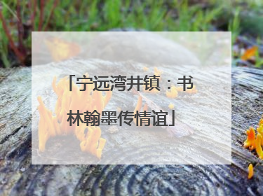宁远湾井镇：书林翰墨传情谊