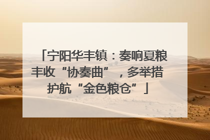 宁阳华丰镇：奏响夏粮丰收“协奏曲”，多举措护航“金色粮仓”