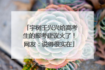 宇树王兴兴给高考生的报考建议火了！网友：说得很实在