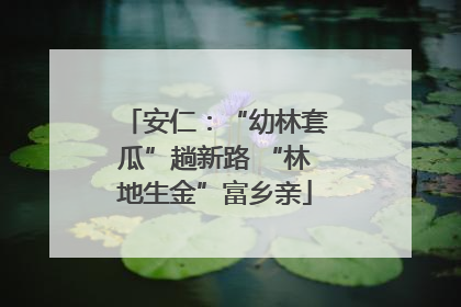 安仁：“幼林套瓜”趟新路 “林地生金”富乡亲