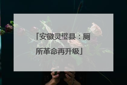 安徽灵璧县：厕所革命再升级