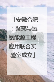 安徽合肥：聚变与氢氨能源工程应用联合实验室成立