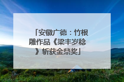 安徽广德：竹根雕作品《梁丰岁稔》斩获金鼎奖