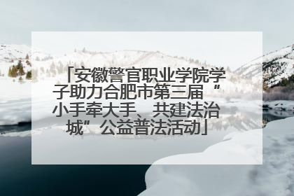 安徽警官职业学院学子助力合肥市第三届“小手牵大手、共建法治城”公益普法活动