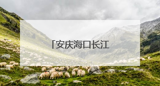 安庆海口长江公铁大桥力争今年内开工建设