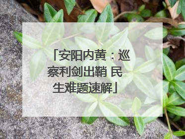 安阳内黄：巡察利剑出鞘 民生难题速解