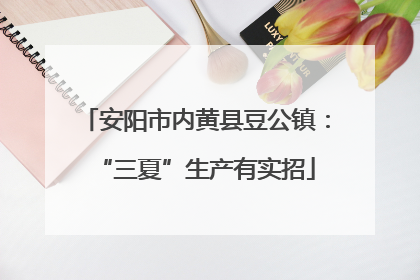 安阳市内黄县豆公镇：“三夏”生产有实招