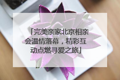 完美亲家北京相亲会温情落幕，精彩互动点燃寻爱之旅