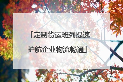 定制货运班列提速 护航企业物流畅通