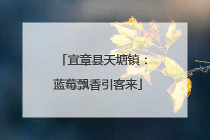 宜章县天塘镇：蓝莓飘香引客来