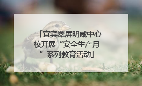 宜宾翠屏明威中心校开展“安全生产月”系列教育活动