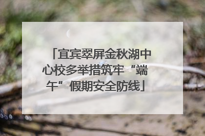 宜宾翠屏金秋湖中心校多举措筑牢“端午”假期安全防线