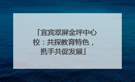 宜宾翠屏金坪中心校：共探教育特色，携手共促发展