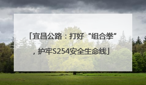 宜昌公路：打好“组合拳”，护牢S254安全生命线