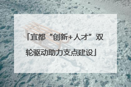 宜都“创新+人才”双轮驱动助力支点建设