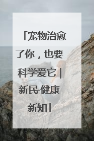 宠物治愈了你，也要科学爱它｜新民·健康新知