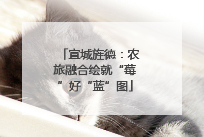 宣城旌德：农旅融合绘就“莓”好“蓝”图