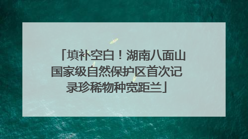 填补空白！湖南八面山国家级自然保护区首次记录珍稀物种宽距兰