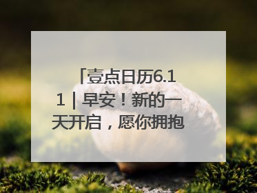 壹点日历6.11｜早安！新的一天开启，愿你拥抱希望，追逐梦想
