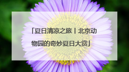 夏日清凉之旅丨北京动物园的奇妙夏日大赏