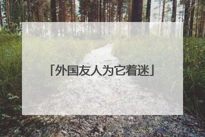 外国友人为它着迷