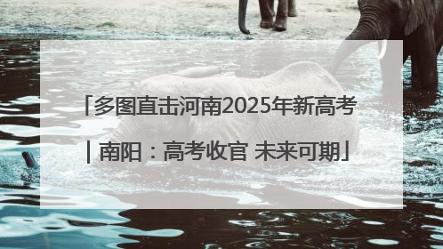 多图直击河南2025年新高考｜南阳：高考收官 未来可期