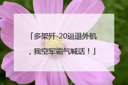 多架歼-20逼退外机,我空军霸气喊话!