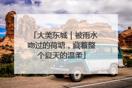 大美东城｜被雨水吻过的荷塘，藏着整个夏天的温柔