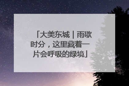 大美东城｜雨歇时分，这里藏着一片会呼吸的绿境