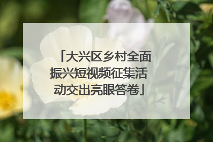 大兴区乡村全面振兴短视频征集活动交出亮眼答卷