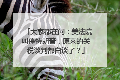 大家都在问：美法院叫停特朗普，原来的关税谈判都白谈了？