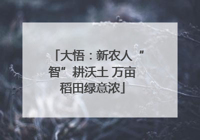 大悟：新农人“智”耕沃土 万亩稻田绿意浓