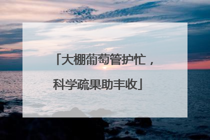 大棚葡萄管护忙，科学疏果助丰收