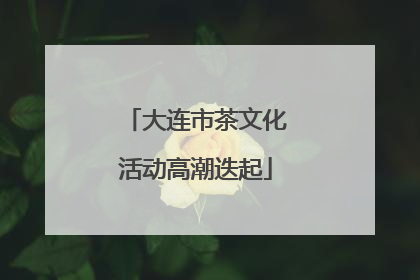 大连市茶文化活动高潮迭起