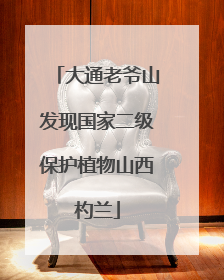 大通老爷山发现国家二级保护植物山西杓兰
