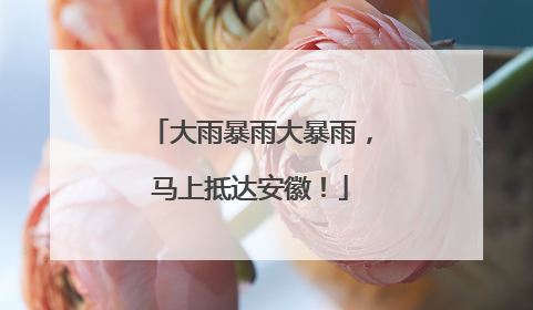 大雨暴雨大暴雨，马上抵达安徽！