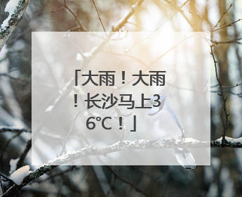 大雨！大雨！长沙马上36℃！