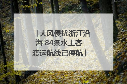 大风侵扰浙江沿海 84条水上客渡运航线已停航