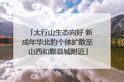 太行山生态向好 新成年华北豹个体扩散至山西和顺县城附近