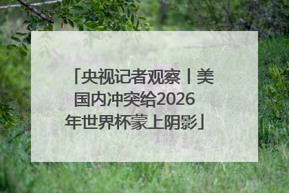 央视记者观察丨美国内冲突给2026年世界杯蒙上阴影