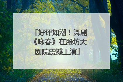 好评如潮！舞剧《咏春》在潍坊大剧院震撼上演
