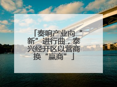 奏响产业向“新”进行曲，泰兴经开区以营商换“赢商”