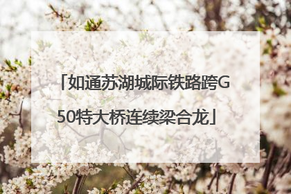 如通苏湖城际铁路跨G50特大桥连续梁合龙
