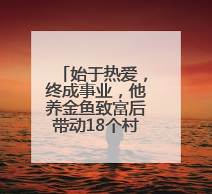 始于热爱，终成事业，他养金鱼致富后带动18个村共富