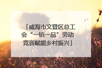 威海市文登区总工会“一镇一品”劳动竞赛赋能乡村振兴
