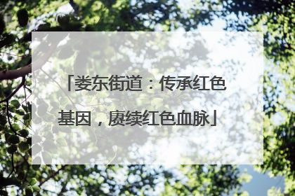 娄东街道：传承红色基因，赓续红色血脉