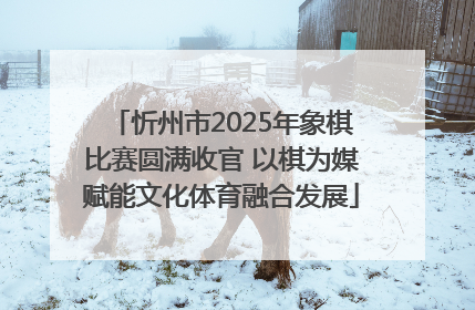 忻州市2025年象棋比赛圆满收官 以棋为媒赋能文化体育融合发展