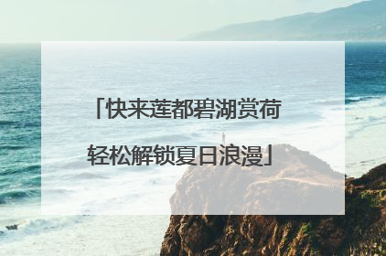 快来莲都碧湖赏荷 轻松解锁夏日浪漫