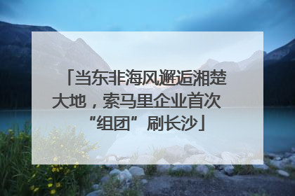 当东非海风邂逅湘楚大地，索马里企业首次“组团”刷长沙